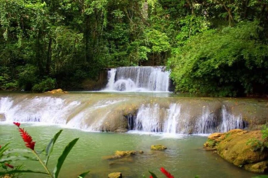 Montego Bay: YS Falls and Appleton Rum Private Tour by Van - Appleton Estate Before the Day Gets Busy