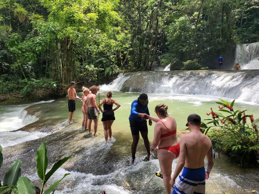 Montego Bay: YS Falls and Appleton Rum Private Tour by Van - What the Private Van Adds to a Long Day