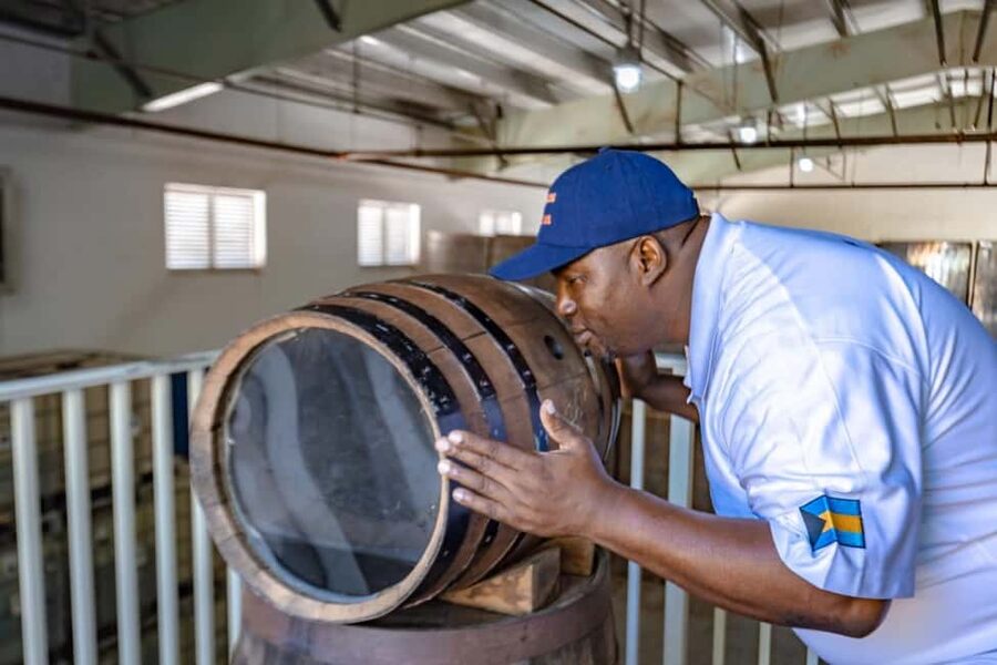 Nassau: Island Highlights Tour with Rum Tasting - What the $80 price really buys you