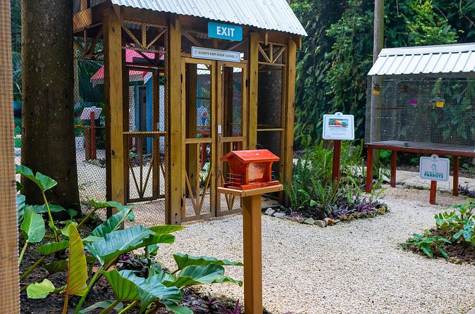 Nature Trail, Tram & Rum Tasting at Harrison's Cave by Chukka - The rum tasting and what it really includes