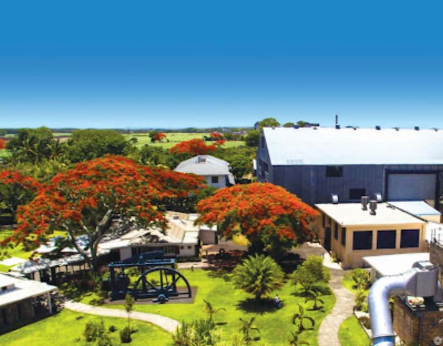 North Day Tour, Botanical Garden, Sugar Museum, Rum Tasting - Key points at a glance
