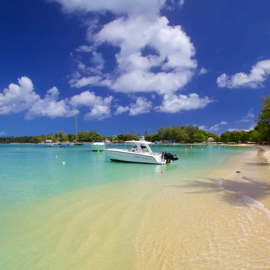 North Day Tour, Botanical Garden, Sugar Museum, Rum Tasting - Château de Labourdonnais and colonial Mauritius