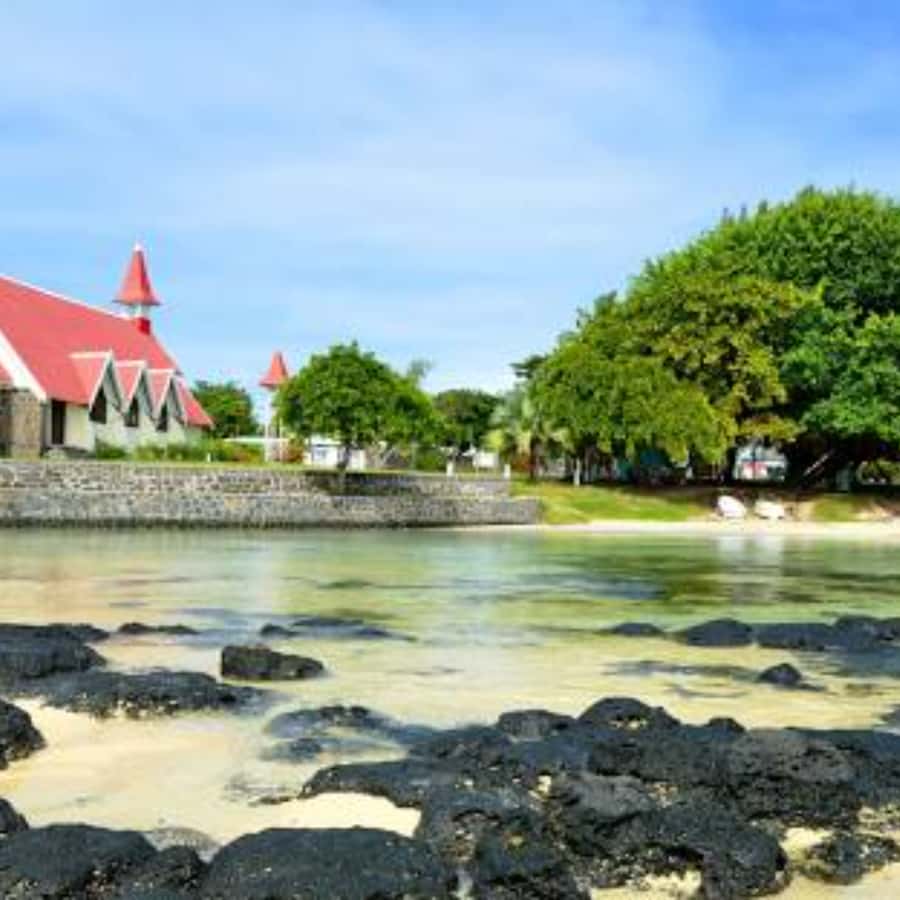North Day Tour, Botanical Garden, Sugar Museum, Rum Tasting - Port Louis: the capital’s market and shopping streets