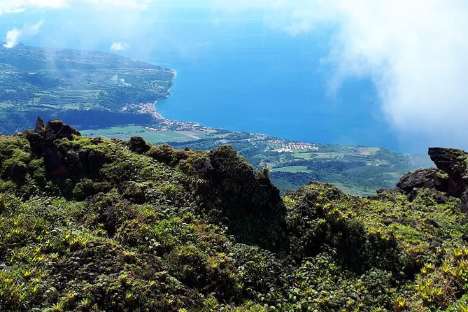 North Tour: rainforest, rum distillery, black sand beach etc - From Fort-de-France to Balata’s little Sacre-Coeur