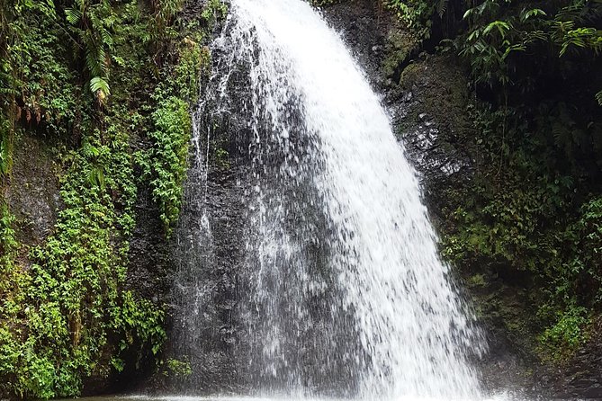 North Tour: rainforest, rum distillery, black sand beach etc - Saint-Pierre and the two-minute catastrophe