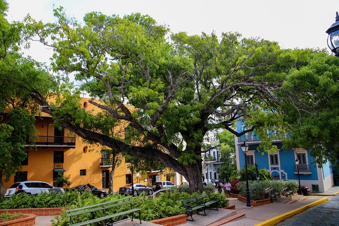 Old San Juan and Rum Factory Full-Day Tour: Minimum 8+ people - Guide quality can shape the whole day