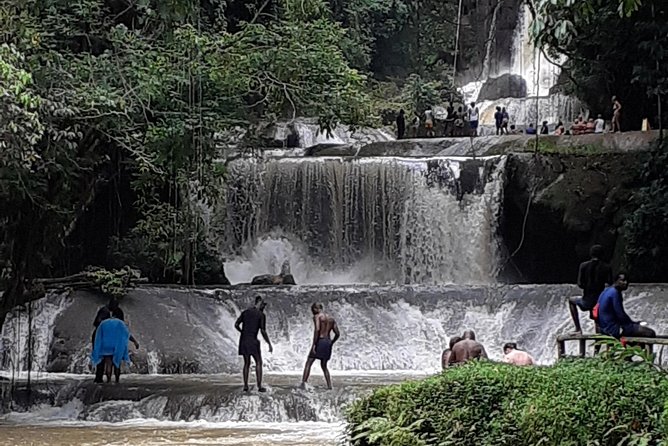 Pelican Bar, Appleton Rum Tour, YS Falls Jamaica south coast experience Montego - What the private format really gives you
