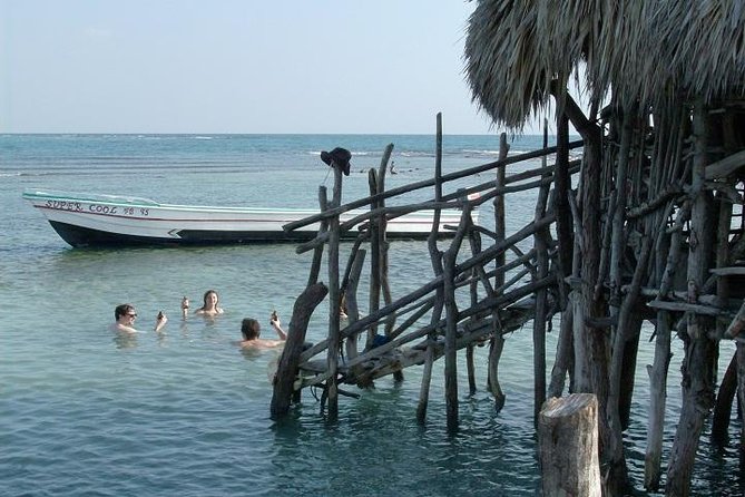 Private Appleton Estate Rum and Pelican Bar Tour from Montego Bay - What a private guide adds to the day