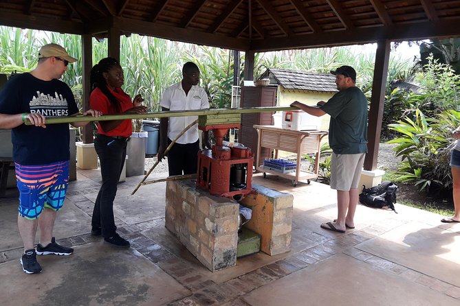 Private Appleton Estate Rum and Pelican Bar Tour from Montego Bay - At Appleton Estate, follow sugar cane into rum