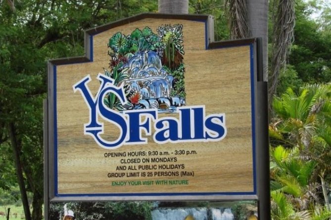 Private Appleton Estate Rum & YS Falls Tour from Montego Bay - Who will enjoy this day most