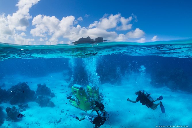 Private Experience of Tahitian Wine and Rum Tasting - Private format and possible bungalow visits