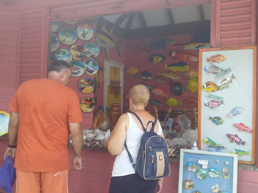 Private half day tour with free rum tasting - Mission Lodge and the view from Venn’s Town