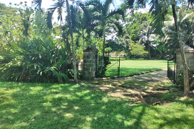 Private Hampden Estate Rum Tour from Montego Bay or Falmouth - Following fermentation and distillation