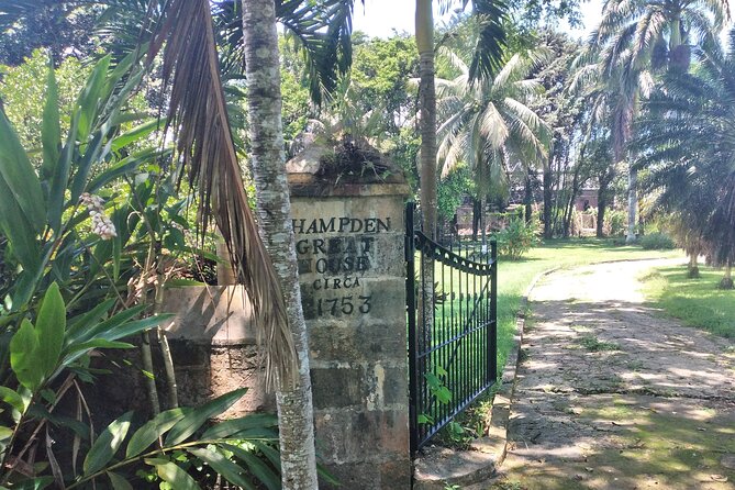 Private Hampden Estate Rum Tour from Montego Bay or Falmouth - Price, timing, and cancellation details