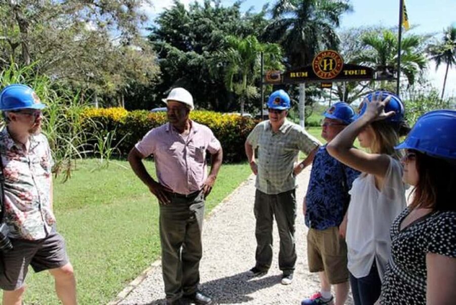 Private Hampden Estate Rum Trip from Montego Bay - Key points to know before you go