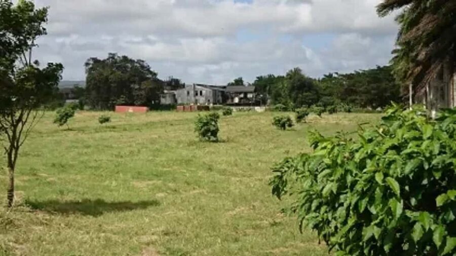 Private Hampden Estate Rum Trip from Montego Bay - The Montego Bay pickup sets the tone