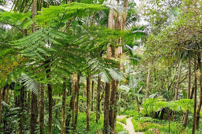 Puerto Plata City Tour with the Mount Isabel, Rum & Chocolate - Rum, chocolate, and the question of factory visits