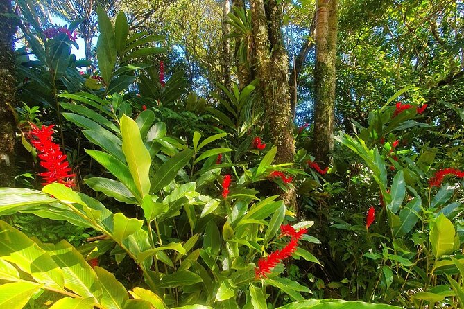 Puerto Plata City Tour with the Mount Isabel, Rum & Chocolate - Mount Isabel and the closed cable car