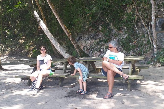 Punta Cana: Samaná, Lemon Falls and Bacardi Island - Reaching Lemon Falls by horse or on foot