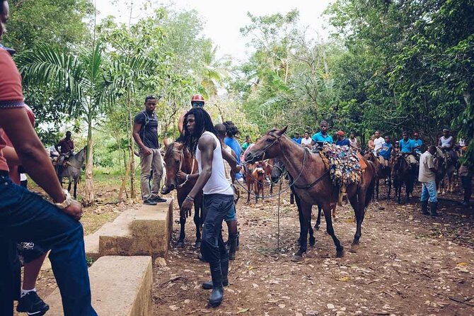 Punta Cana: Samaná, Lemon Falls and Bacardi Island - Is $135 a fair price?
