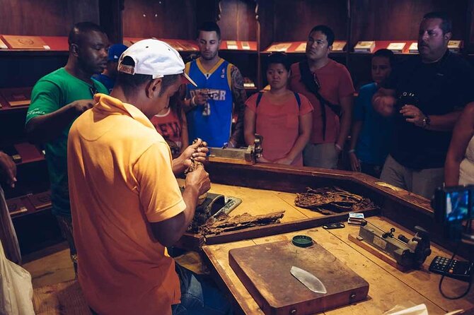 Punta Cana: Samaná, Lemon Falls and Bacardi Island - Fitness, comfort, and what to bring