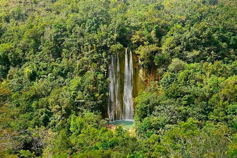 Punta Cana: Samaná Whale Watching, Bacardi & Limon Falls - Key points to know before booking