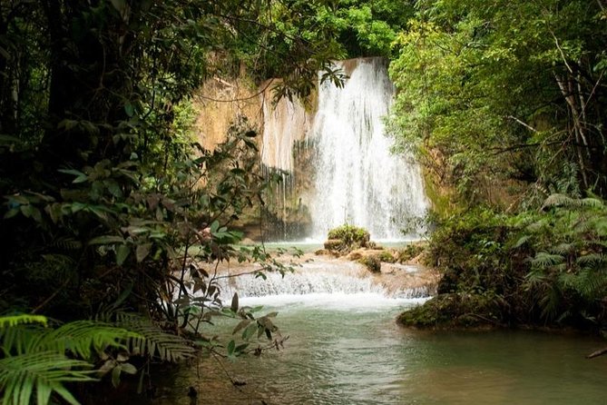 Punta Cana to Samana: El Limon Falls and Bacardi Island - Two hours on Bacardi Beach