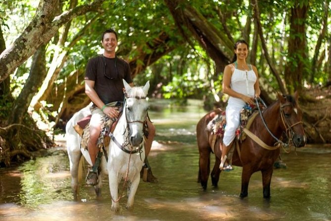 Punta Cana to Samana: El Limon Falls and Bacardi Island - Reaching El Limón Waterfall