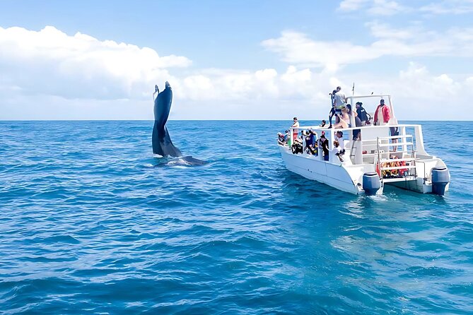 Punta Cana: Whale Watching and Bacardi Island Day Trip - Leaving Punta Cana before the day gets going