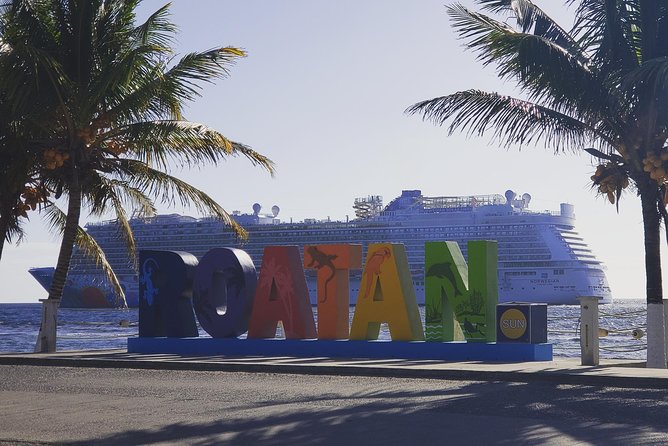 Roatan Monkey and Sloth Tour with Chocolate and Rum Factory - Key points to know before booking