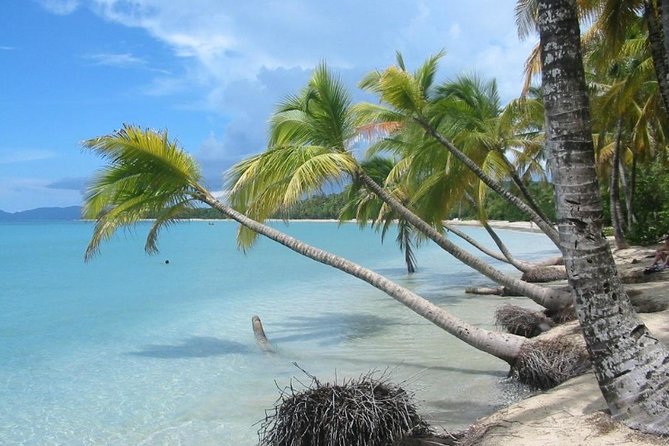 Rum and Salines paradise beach - Key points to know before booking