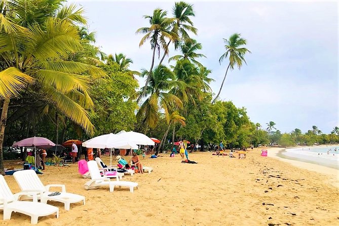Rum and Salines paradise beach - A simple way to see southern Martinique