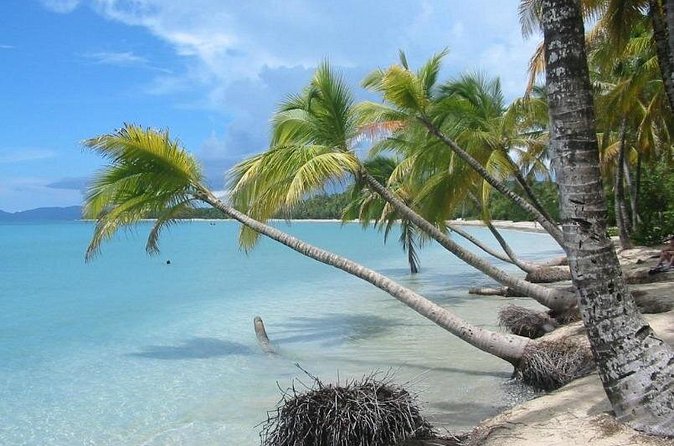Rum and Salines paradise beach - Is the $82.81 price fair?
