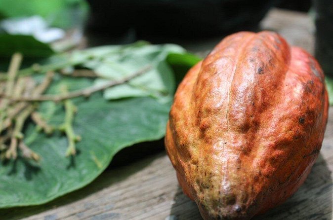 Rum & Chocolate Tasting Tour : Journey into Flavor - Where Chocolate Fits Into the Day