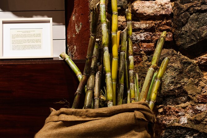 Rum Tasting Experience in the Old Barrel House - How the timing fits a Charlotte Amalie day