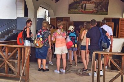 Rum Tour: Exploring the Historic River Antoine Rum Distillery
