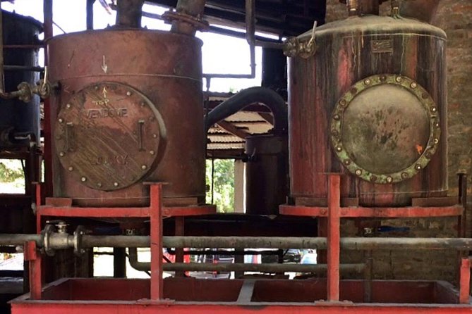 Rum Tour: Exploring the Historic River Antoine Rum Distillery - Timing, Pickup, and Cruise Ship Planning