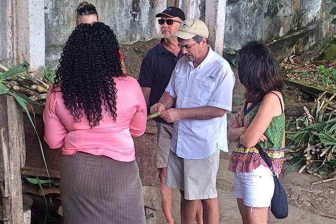 Rum Tour: Exploring the Historic River Antoine Rum Distillery - Weather, Clothing, and Group Size