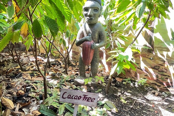 Sabor Dominicano: Rum, Chocolate and Culture Private Tour - Emanuel Cigars and a Living Craft