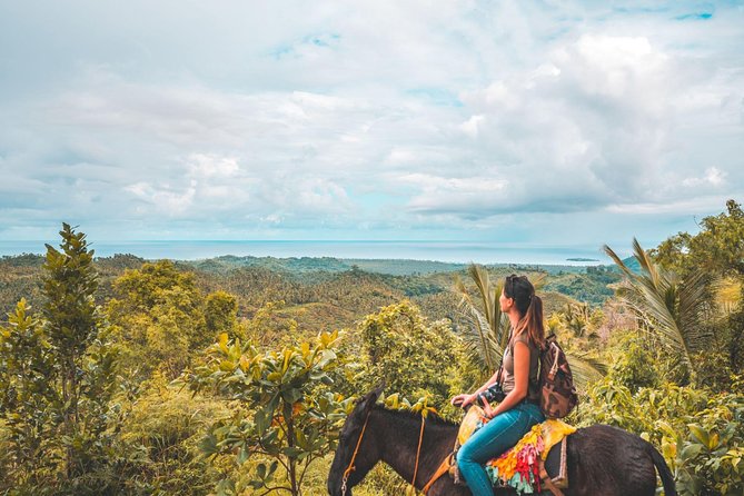 Samana: Cayo levantado ( Bacardi Island) & El Limon Waterfalls from Punta Cana - Key points at a glance