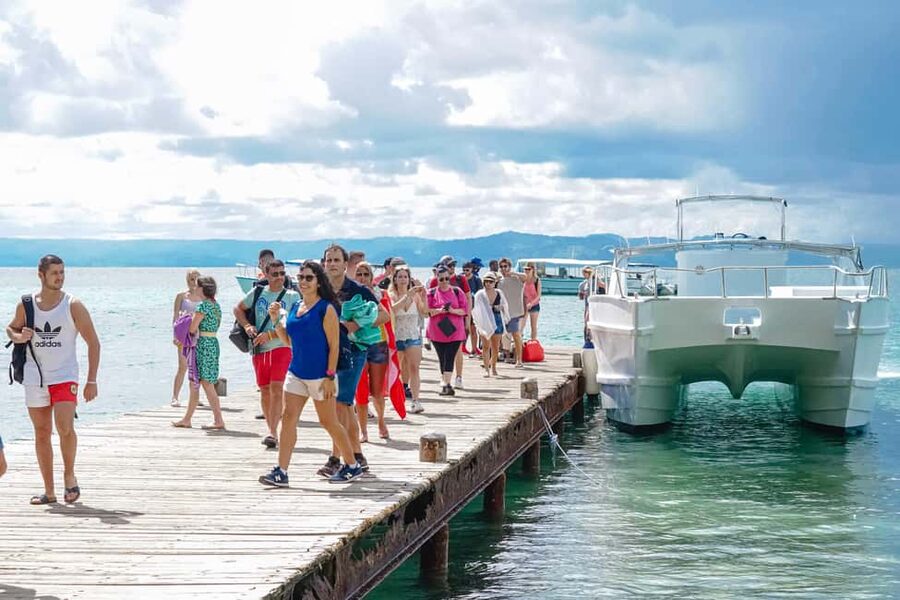 Samanà Whale Watching and Bacardi Island Tour From Bayahibe - How the $160 price works out