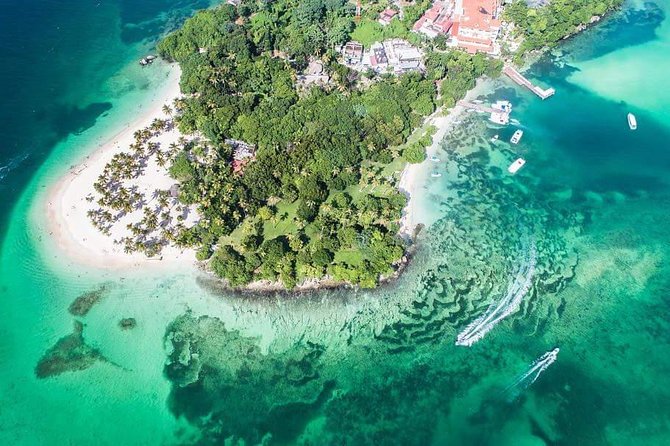 Samana Whale Watching + Cayo Levantado ( Bacardi Island) with Lunch by Locals - Key points to know before you book