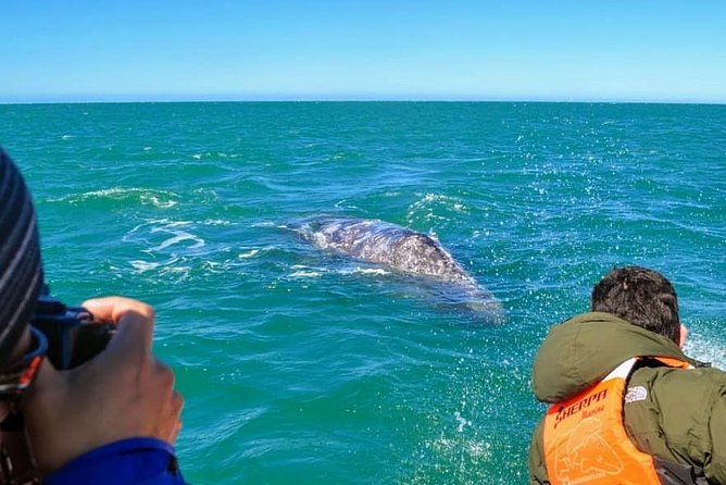 Samana Whale Watching + Cayo Levantado ( Bacardi Island) with Lunch by Locals - Cayo Levantado after the whales