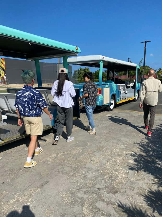 San Juan: Bacardi Rum Distillery and Old San Juan Combo Tour - Two San Juan stories in four hours