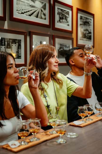 San Juan: Casa Bacardi Distillery Tour - Key points to know before you book