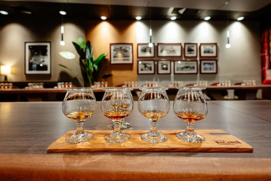 San Juan: Casa Bacardi Distillery Tour - The opening drink and visitor center