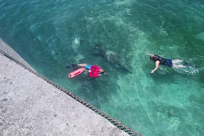 San Juan Snorkel with Turtles and Manatee's; Free Video and Rum! - Swimming out from Playita del Condado