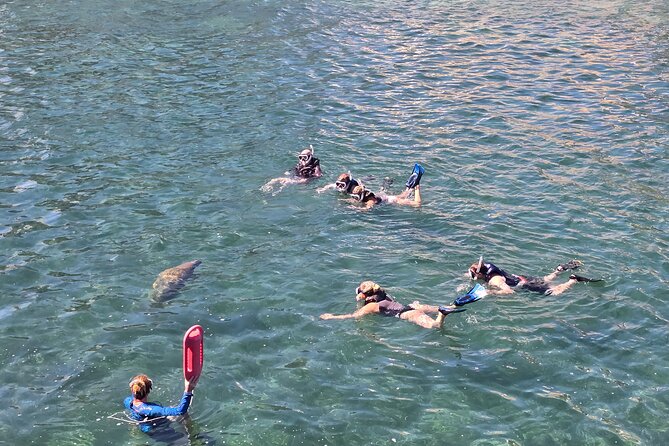 San Juan Snorkel with Turtles and Manatee's; Free Video and Rum! - The guides and group experience
