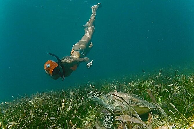 San Juan Snorkel with Turtles and Manatee's; Free Video and Rum! - Should you book it?