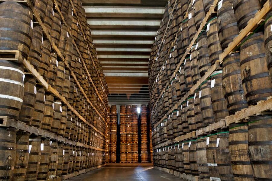 San Pedro De Macoris: Ron Barcerló Rum Factory Tour - From sugar cane to a bottle of rum